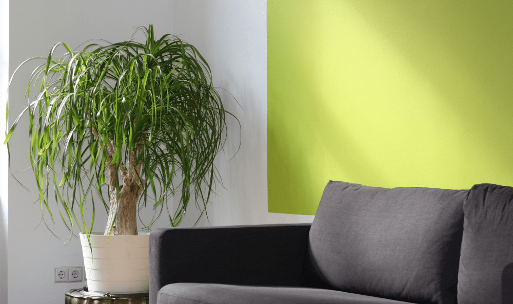 6c960c03 image 10 min.jpg